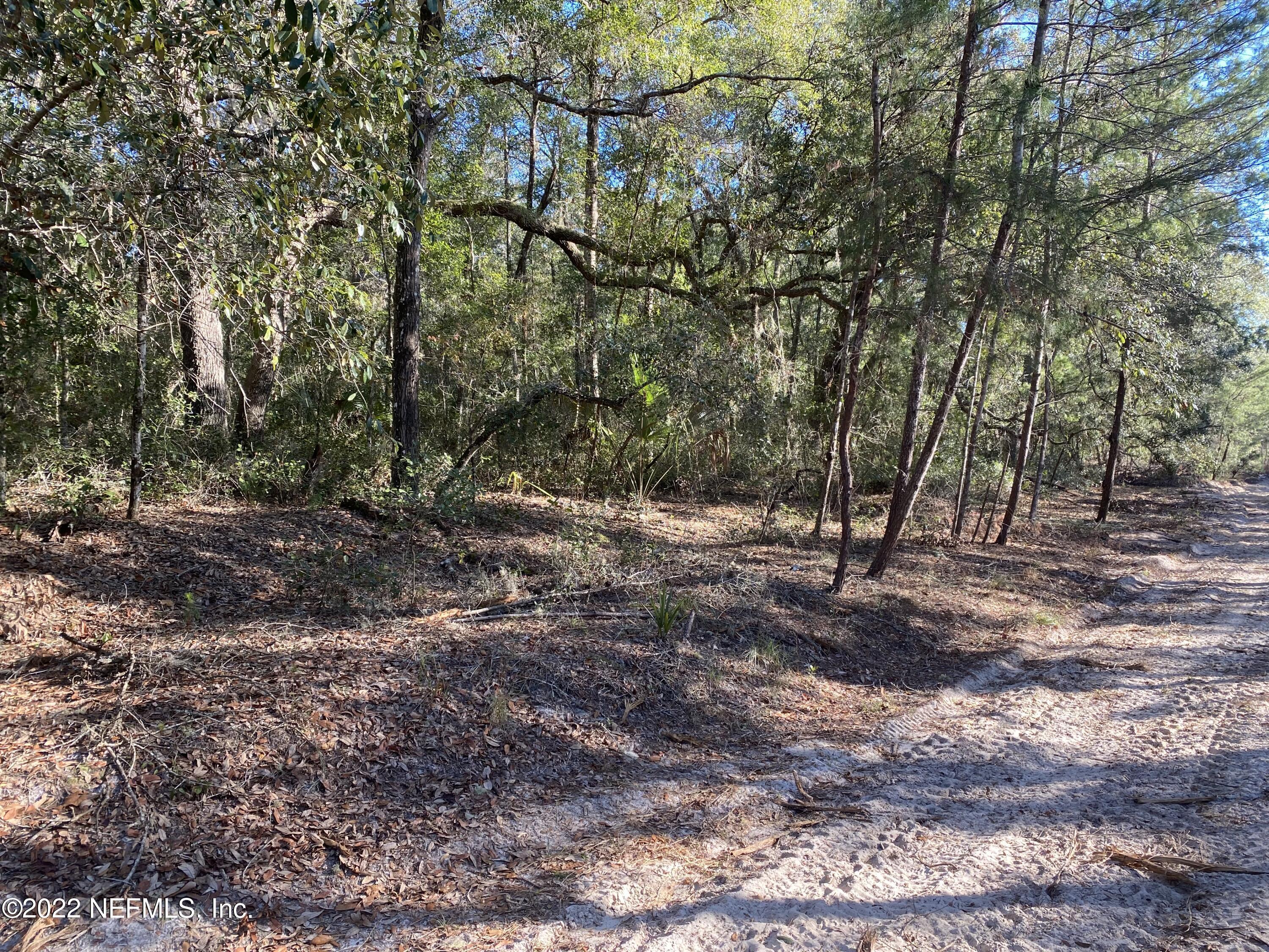 Property Photo: 132 Florida Boulevard FL 32189