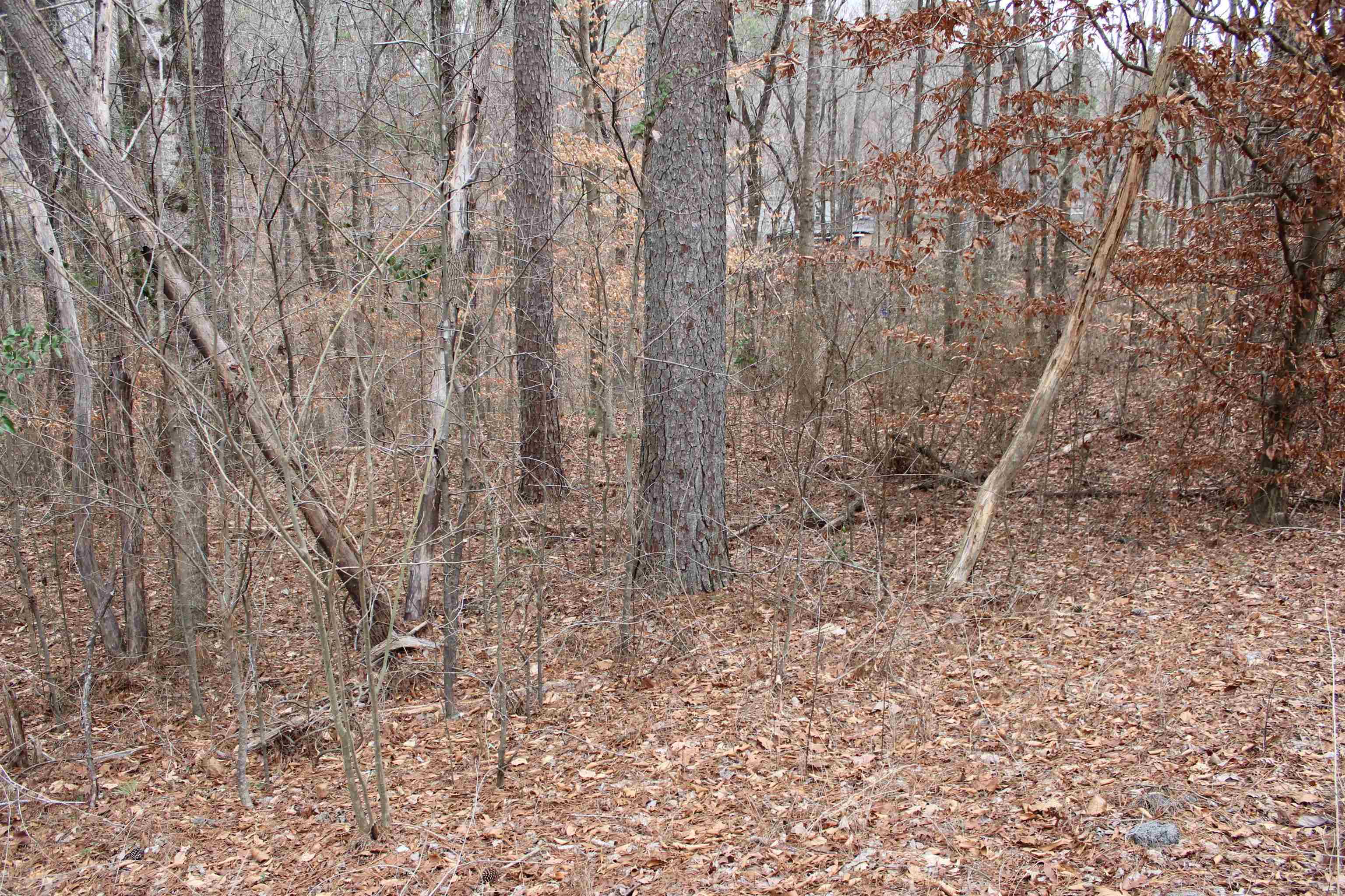 Property Photo:  Lot 9 Quail Run  AL 35057 - CULLMAN 