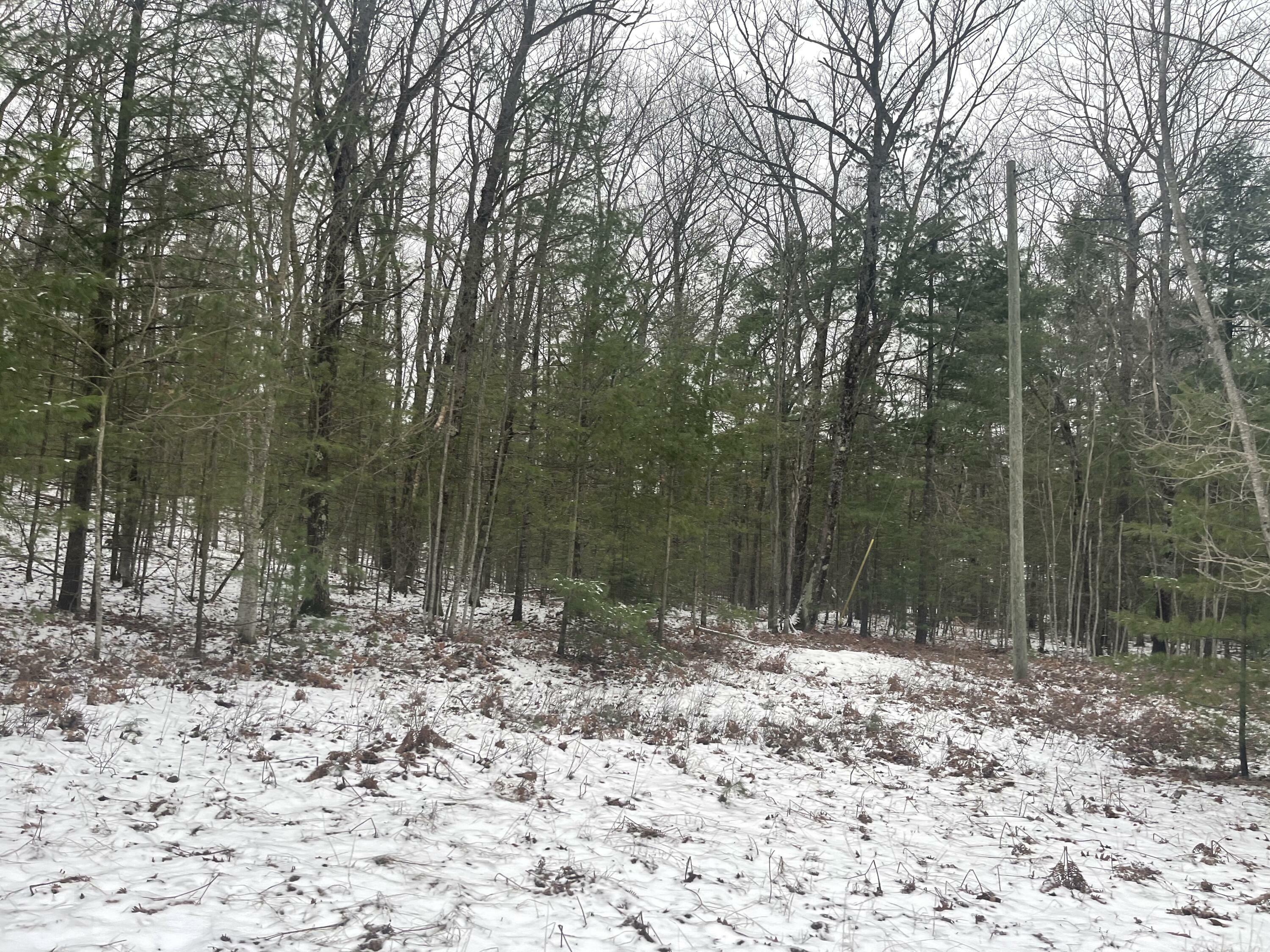 Property Photo:  Parcel F Pineway Path 13 Acres  MI 49749 