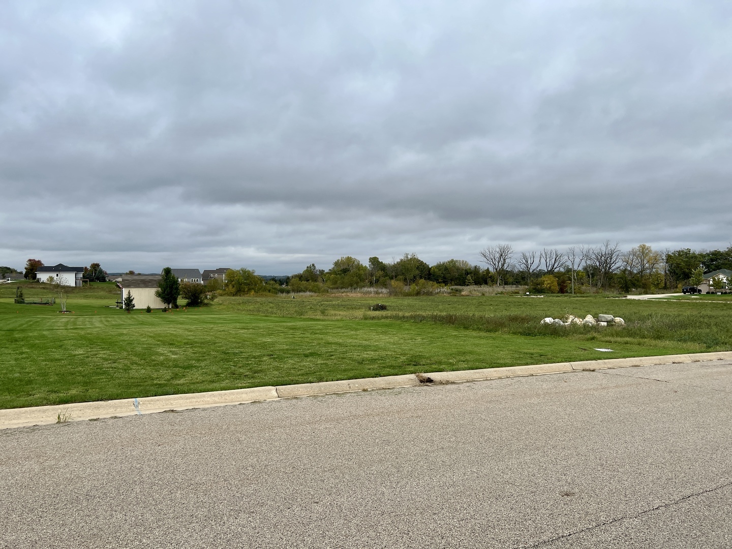 Property Photo:  910 Courtney Lane  IL 60152 