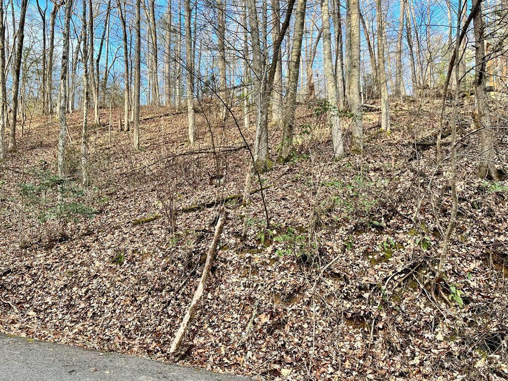Property Photo: Lot 30 C Highland TN 37738