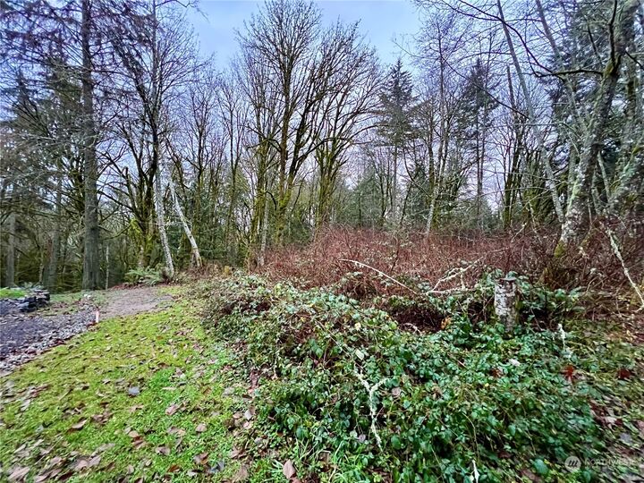 0 Lot 7 Hicks Avenue NE  Bremerton WA 98311 photo