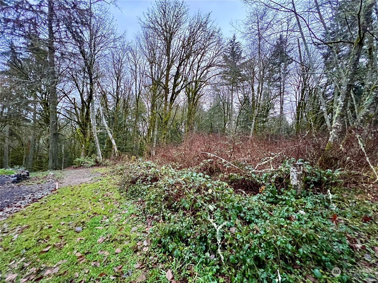 Property Photo: 0 Lot 7 Hicks Avenue NE WA 98311