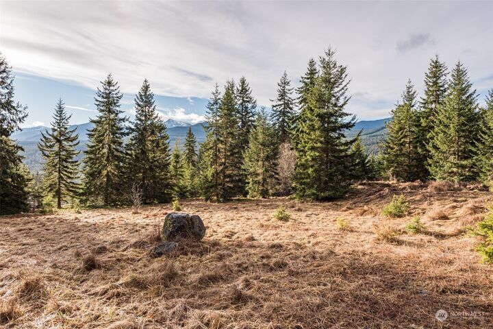 3196 Lost Mountain Road  Sequim WA 98382 photo