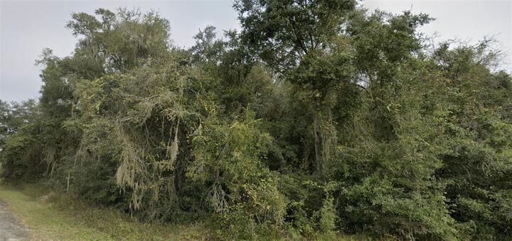 Property Photo:  0000 Sonia Avenue  FL 33597 