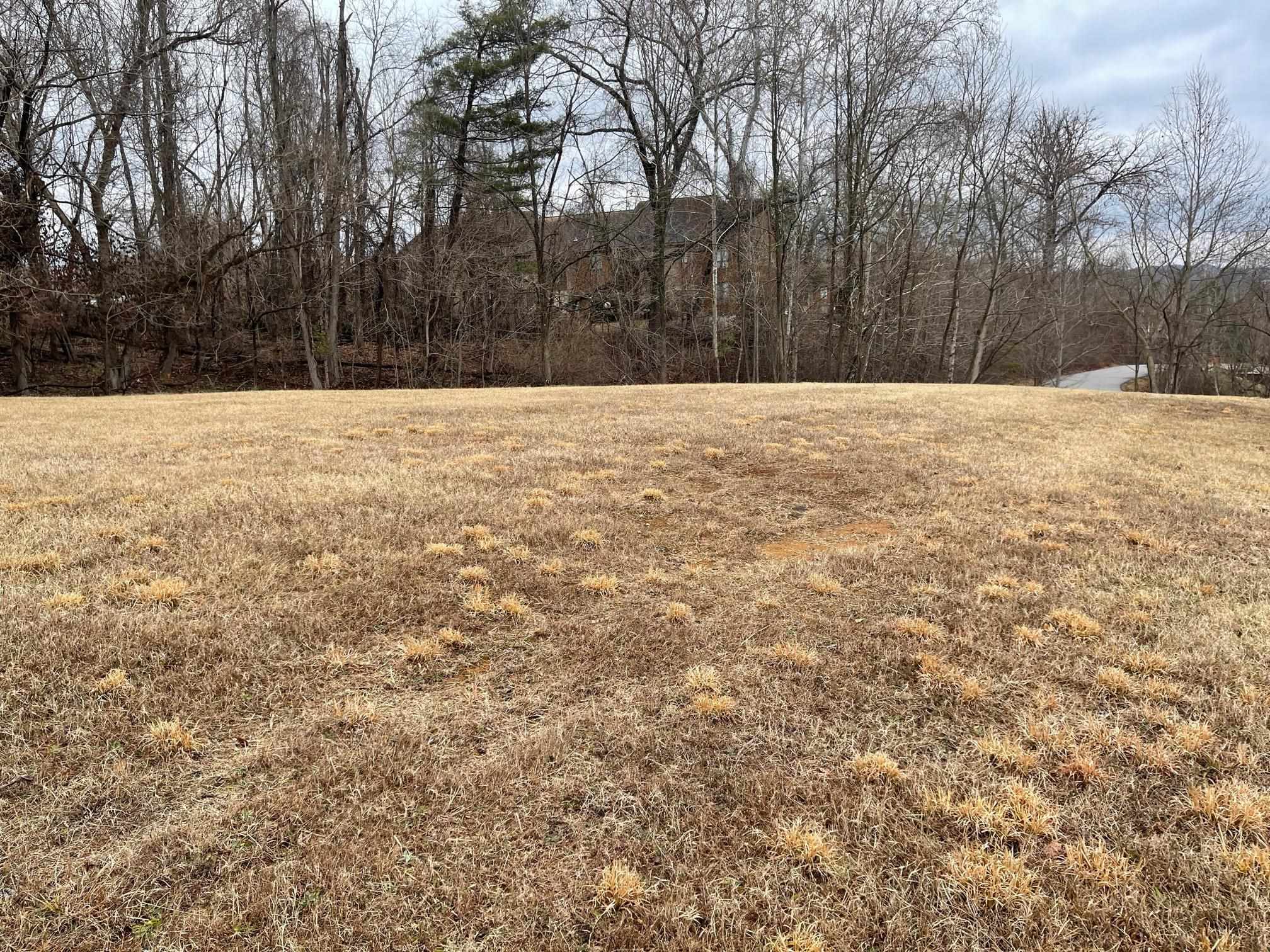 Property Photo: Ivy Creek, Lots 3 &Amp 7 KY 41101