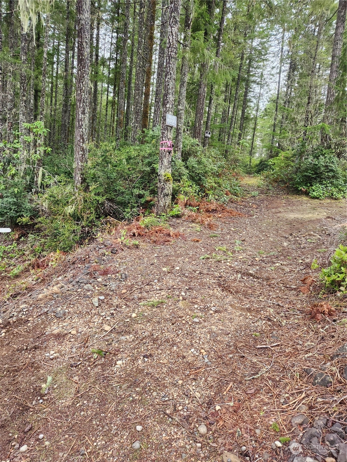 Property Photo: 1370 NE Collins Lake Drive WA 98588