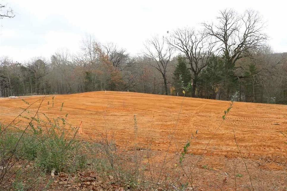 Property Photo:  16229 County 452 Road  TX 75771 
