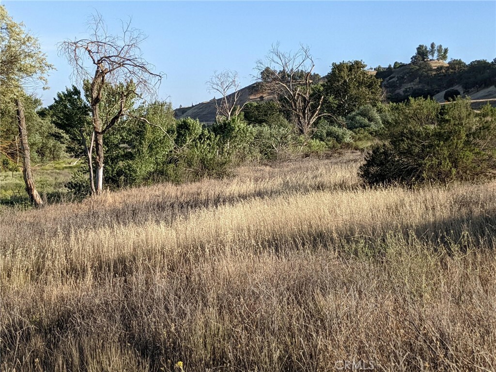 Property Photo:  0 Hwy 101 Salinas River Road  CA 93451 