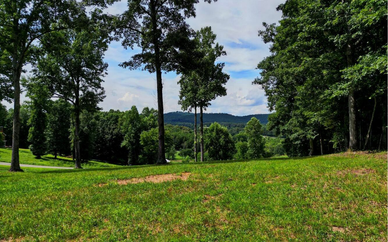 Lot21 Pleasant Meadows  Blairsville GA 30512 photo