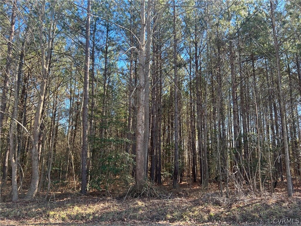 Property Photo:  000 Rocky Branch Road  VA 23882 