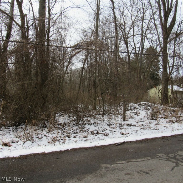 Property Photo:  Lenty Road  OH 44203 