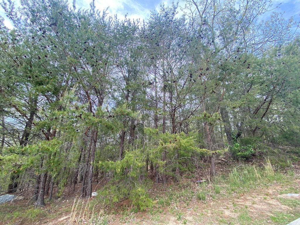 Property Photo:  0 Battleline Drive  GA 30740 