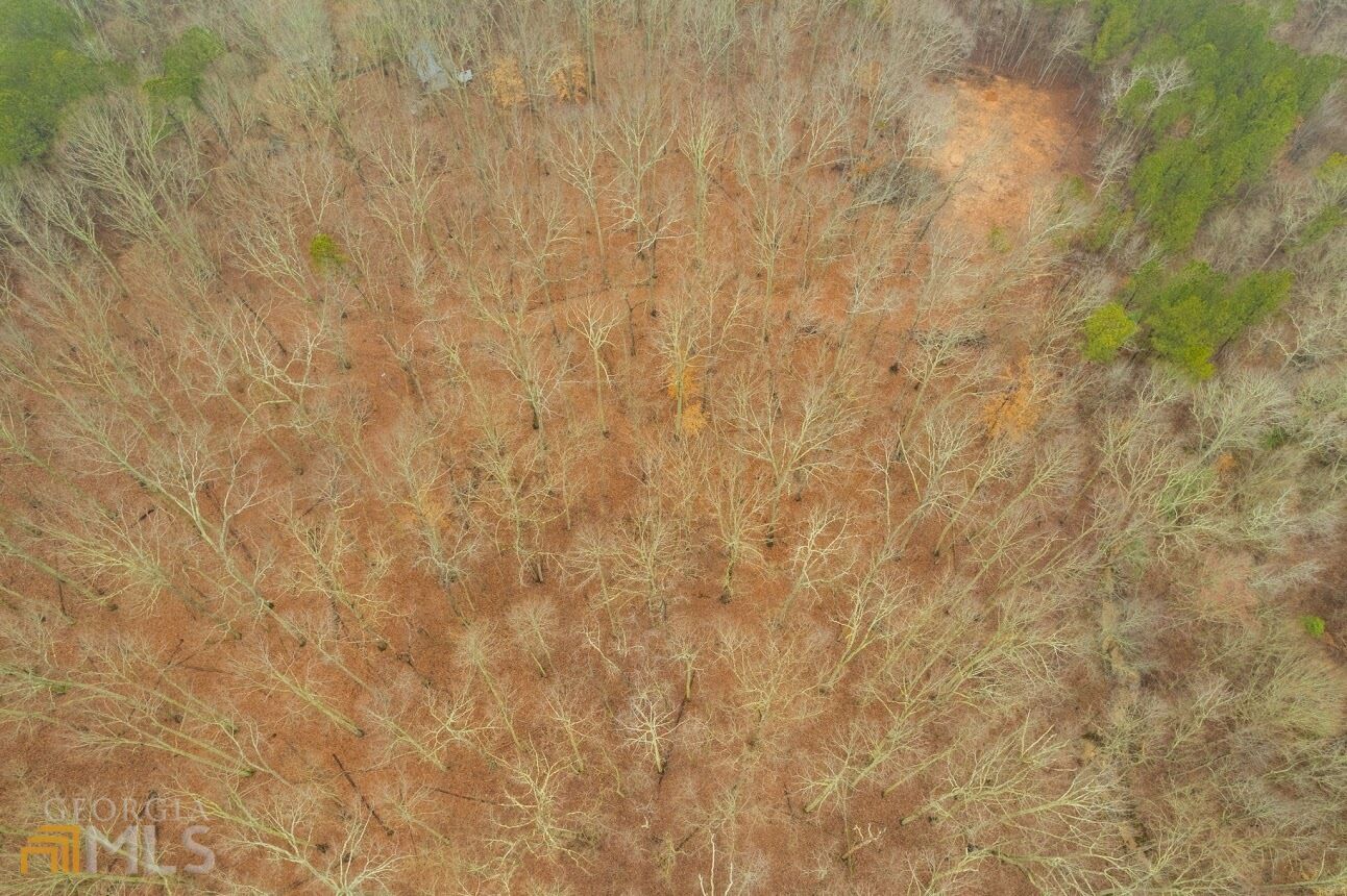 Property Photo: 0 Maple Hill Road Tract B GA 30116