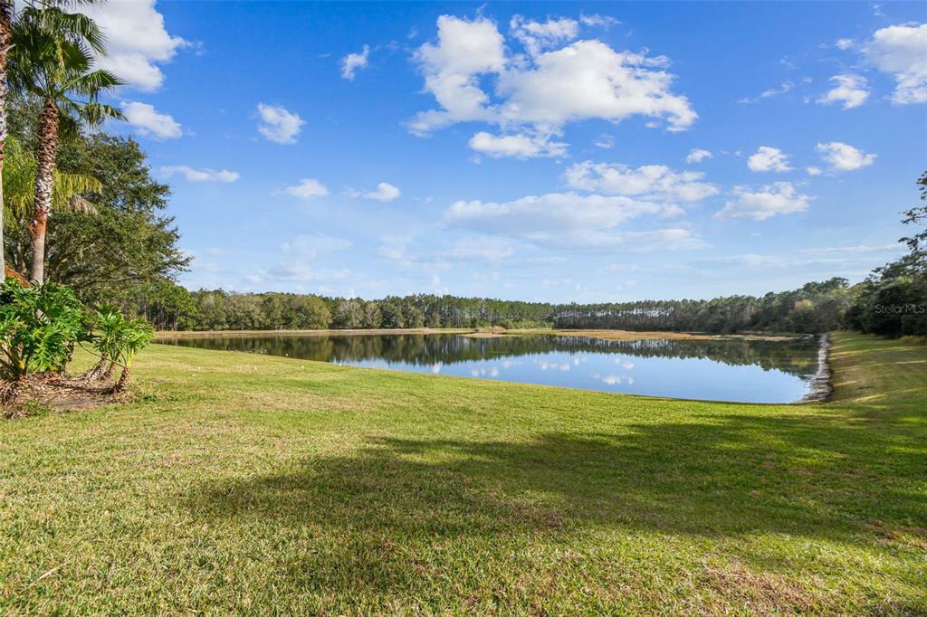 Property Photo: 7610 Dunbridge Drive FL 33556