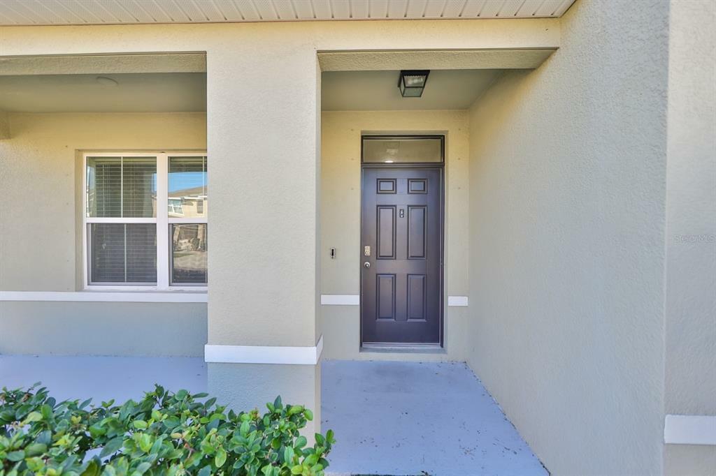 Property Photo:  10026 Geese Trail Circle  FL 33573 