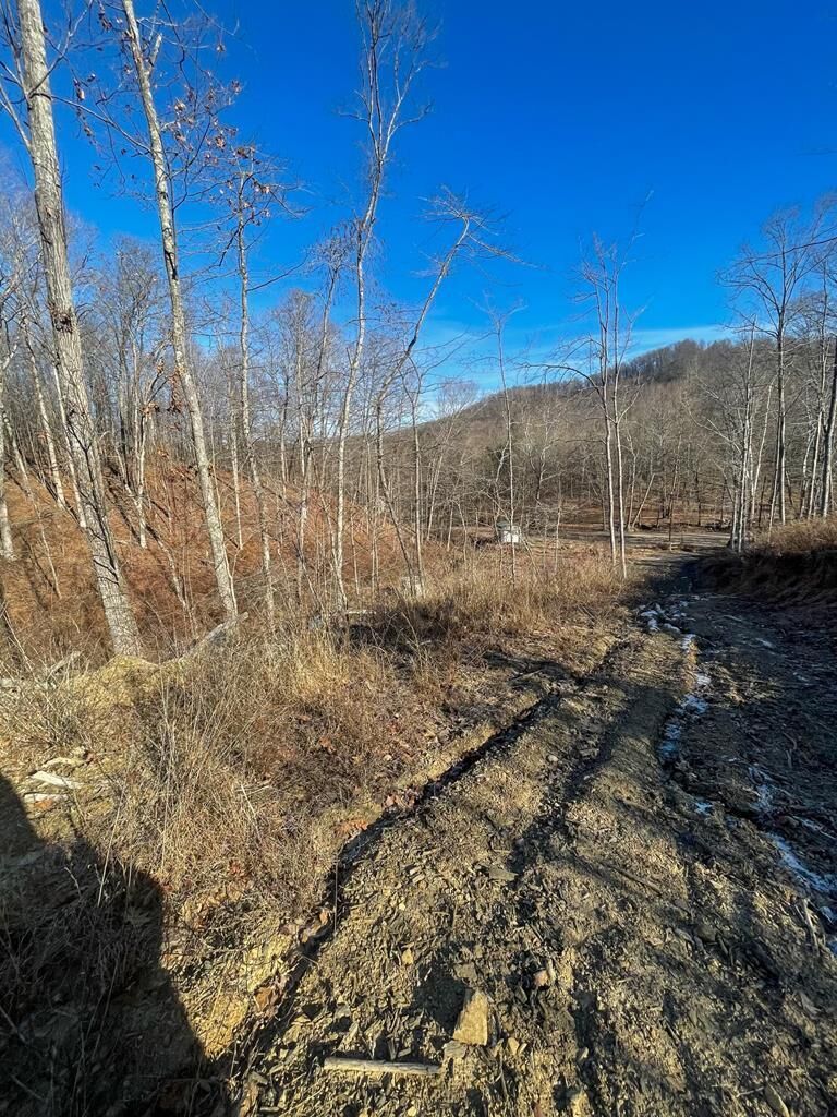 Property Photo: 3427 McNamer Brown OH 45648