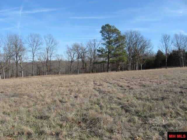 Property Photo:  803 Cr 18  AR 72653 