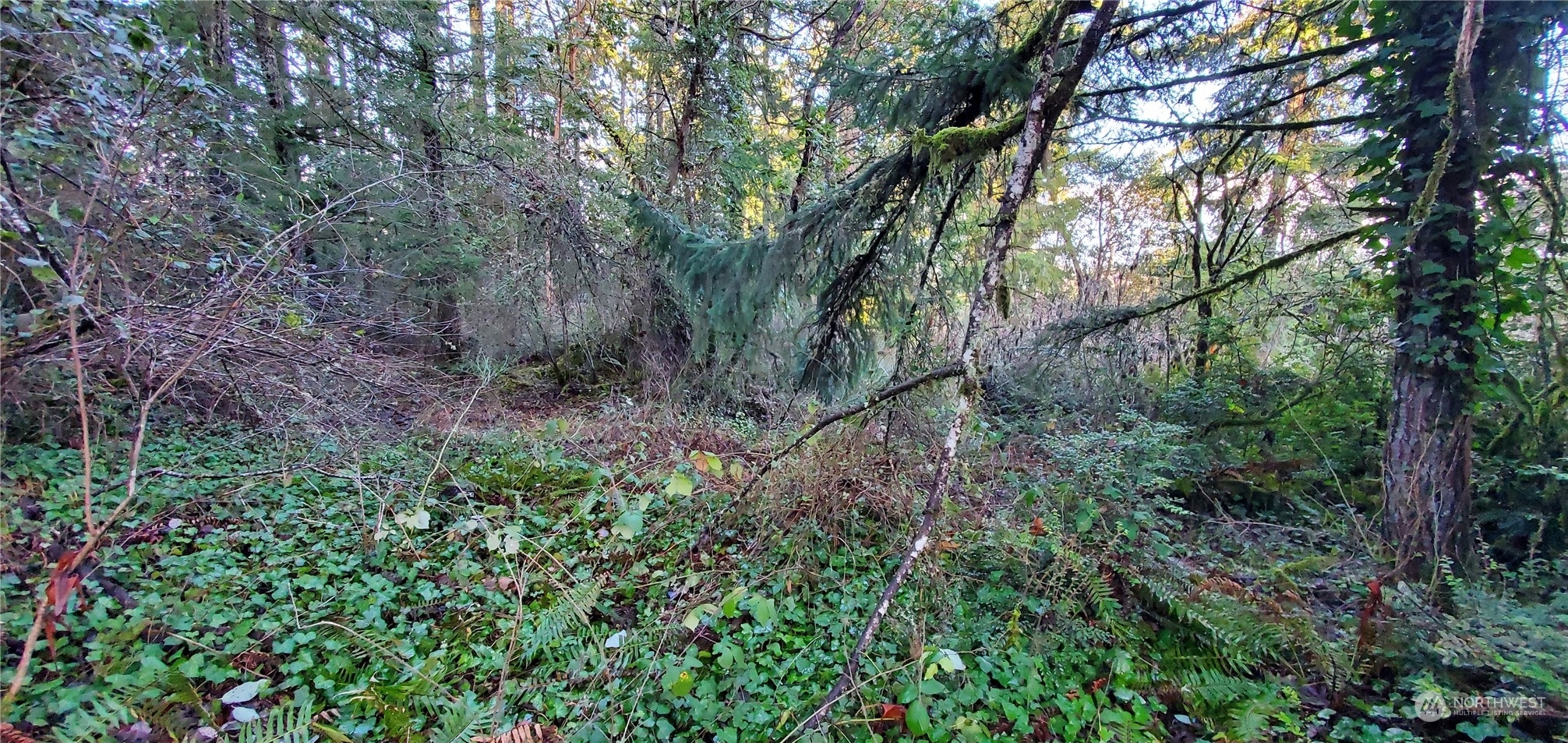 Property Photo: 1 Sand Dollar Road W WA 98312