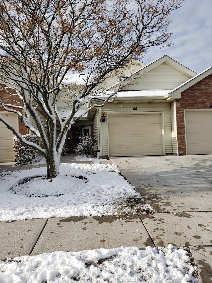 Property Photo:  65 S Golfview Court 65  IL 60139 