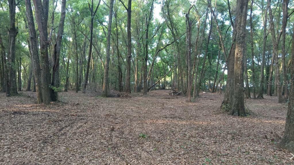 Property Photo: 39900 River Road FL 33525