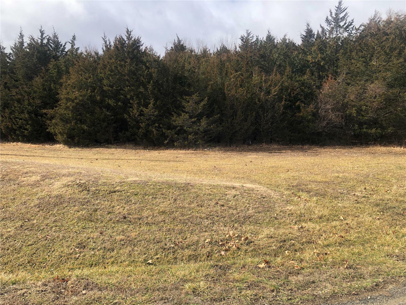 33 Section 7 Lot 33  De Soto MO 63020 photo