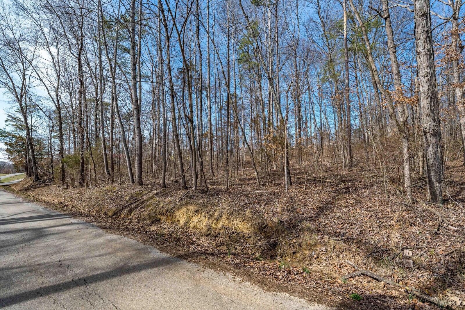 Property Photo: Tbd Beverly Hills Drive TN 37818