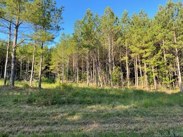 Lot 4 Round Mountain Road  Conway AR 72034 photo