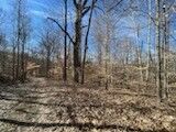 Property Photo: 0 Old Tobaccoport Rd TN 37028