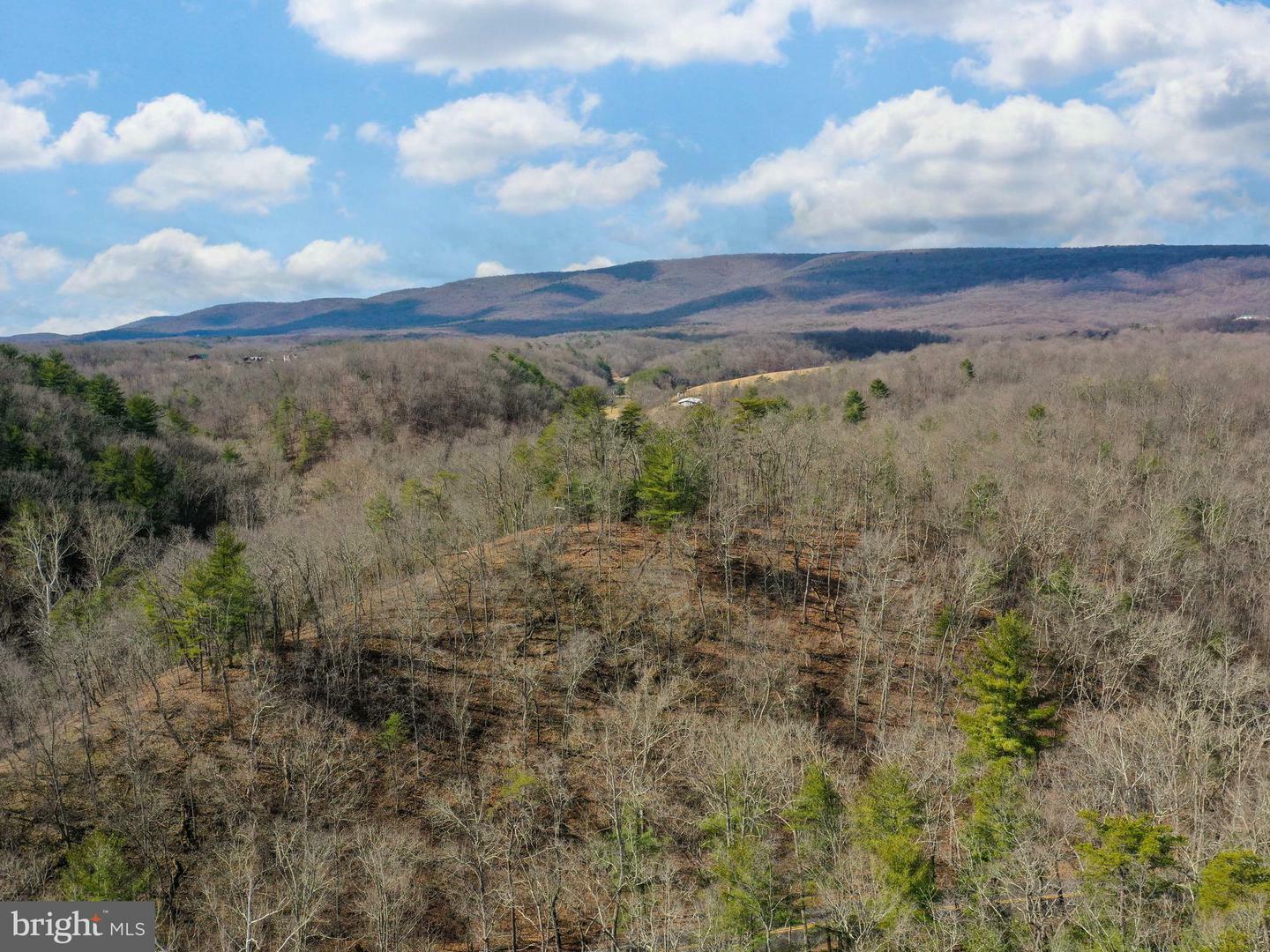 Property Photo:  Lot 1 Hampshire Grade Road  WV 25420 