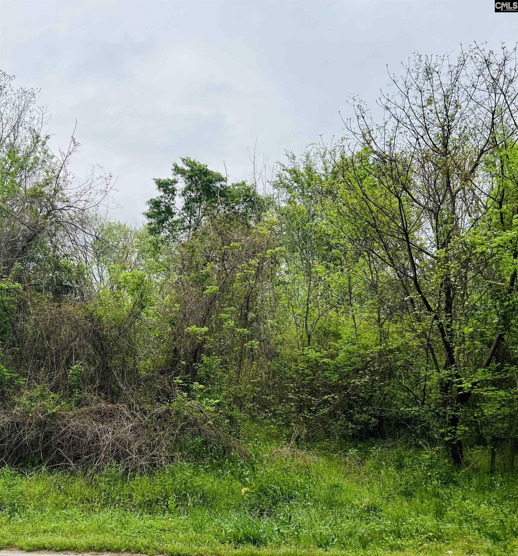 Property Photo: 0 Pope SC 29108