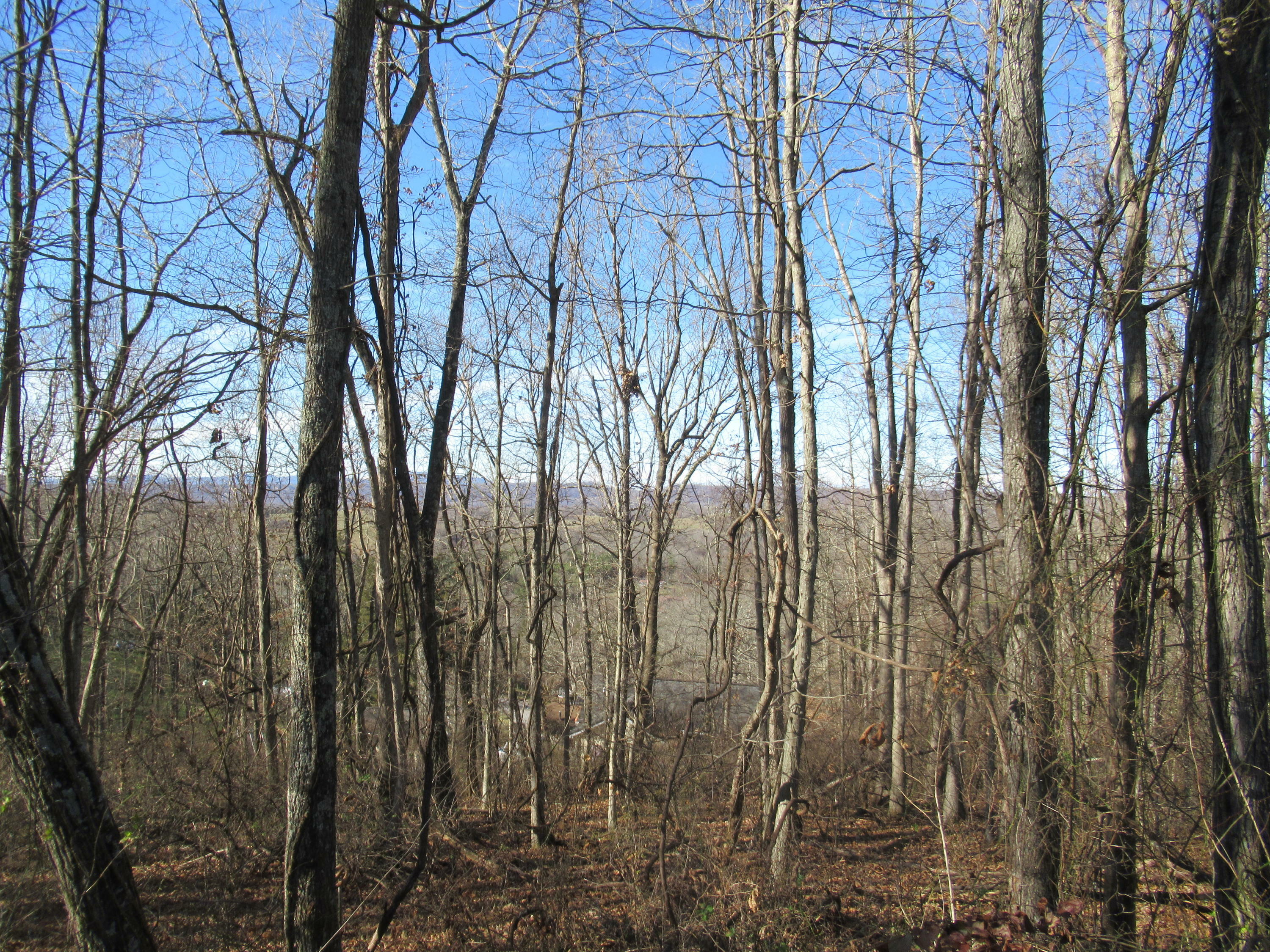 Property Photo: Ballard Dr WV 24970