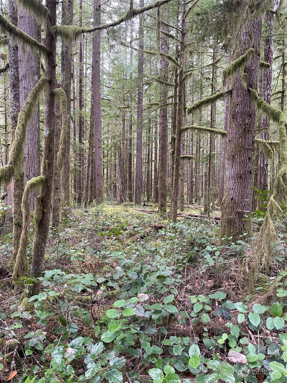 Property Photo: 0 419th Avenue NE WA 98223
