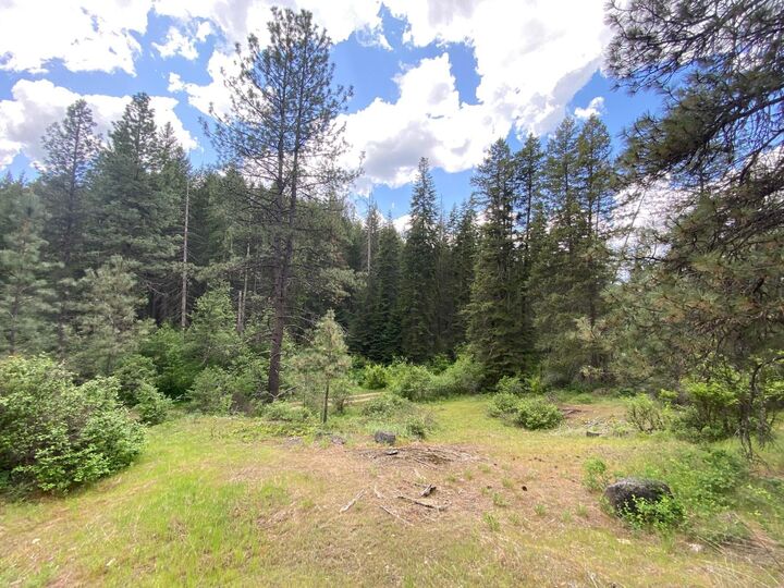 4610 A Hidden Rd  Springdale WA 99173 photo