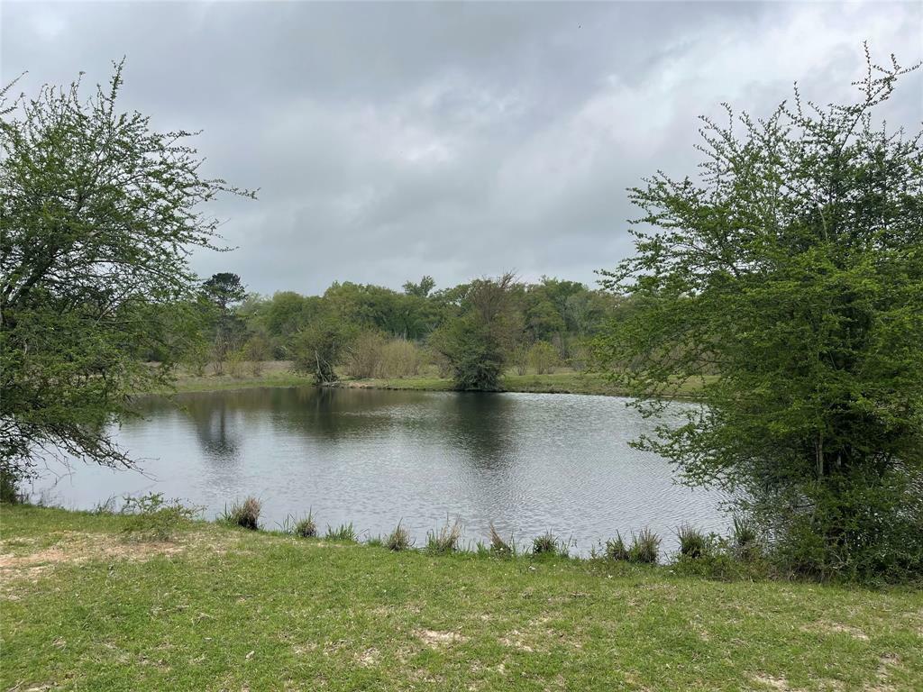 Property Photo: Tbd Hwy 94 TX 75845