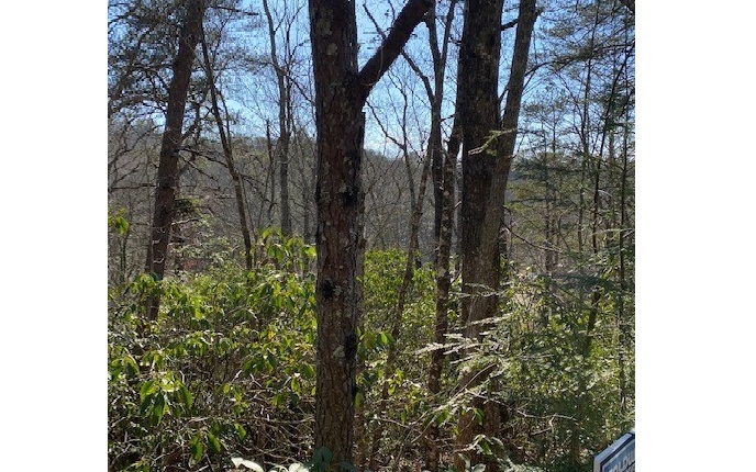 Property Photo:  Lt 43 Yellowbird Trail  GA 30513 