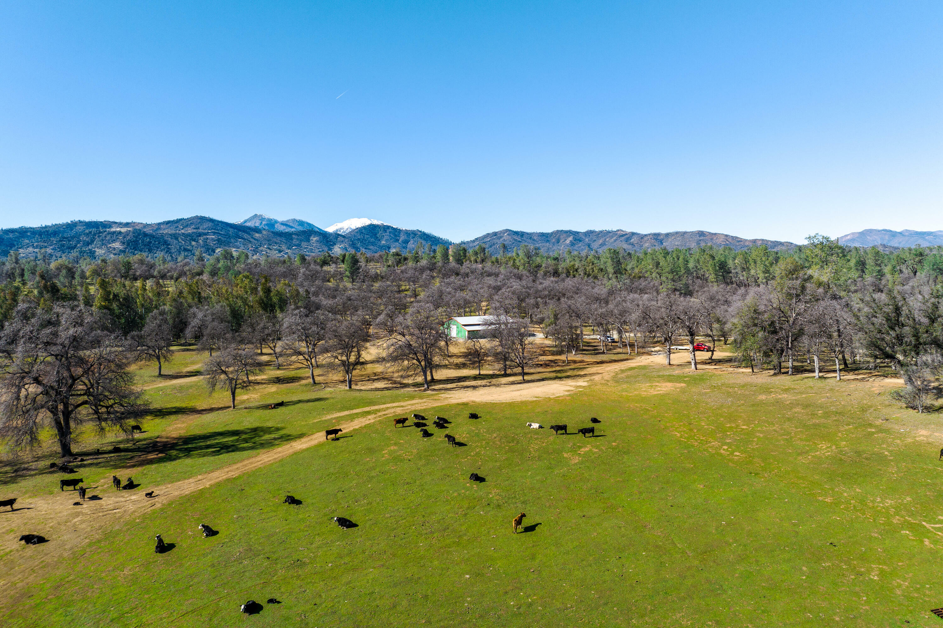 Property Photo:  8499 Simmons Road  CA 96001 