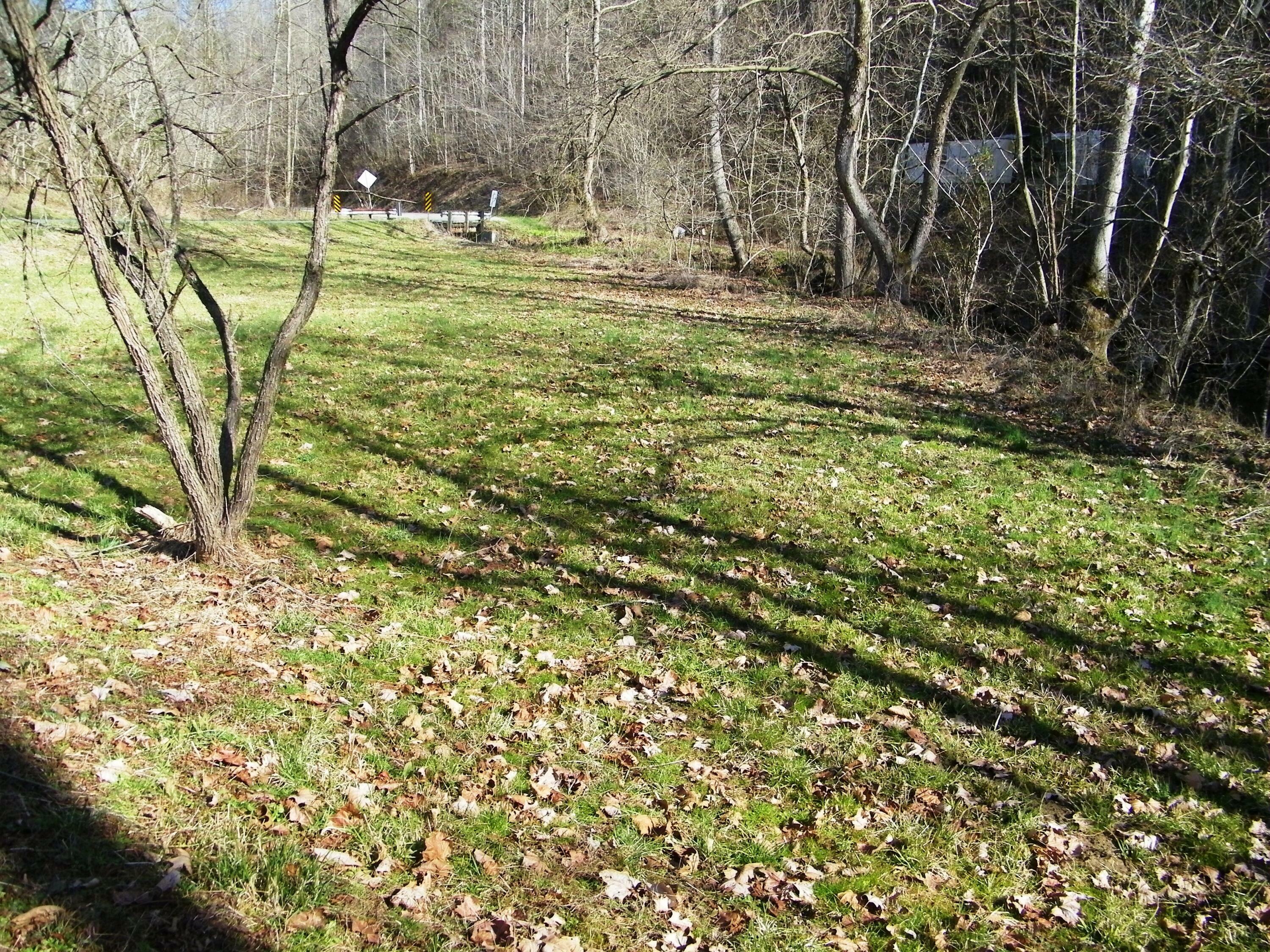 Property Photo:  0 Roller/Sinks Road  VA 24221 