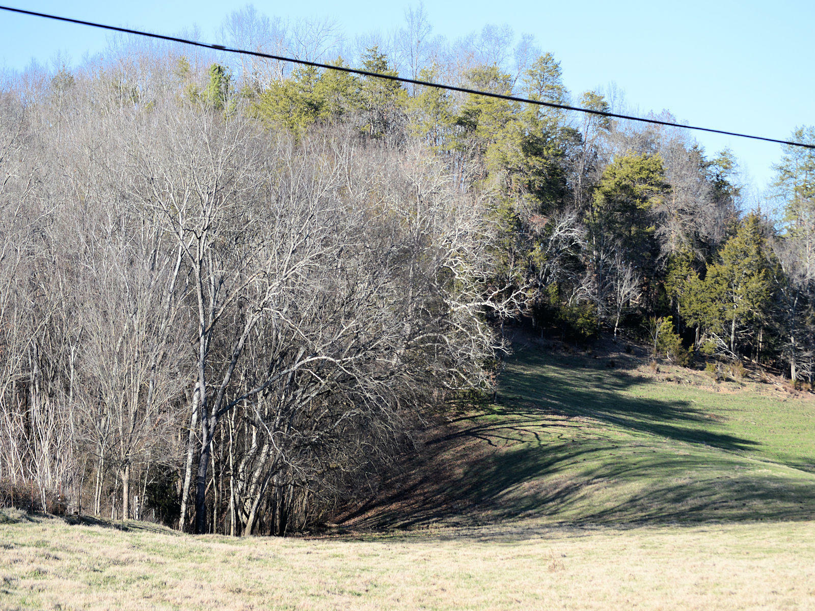 Property Photo:  2932 Poplar Springs Road  TN 37743 