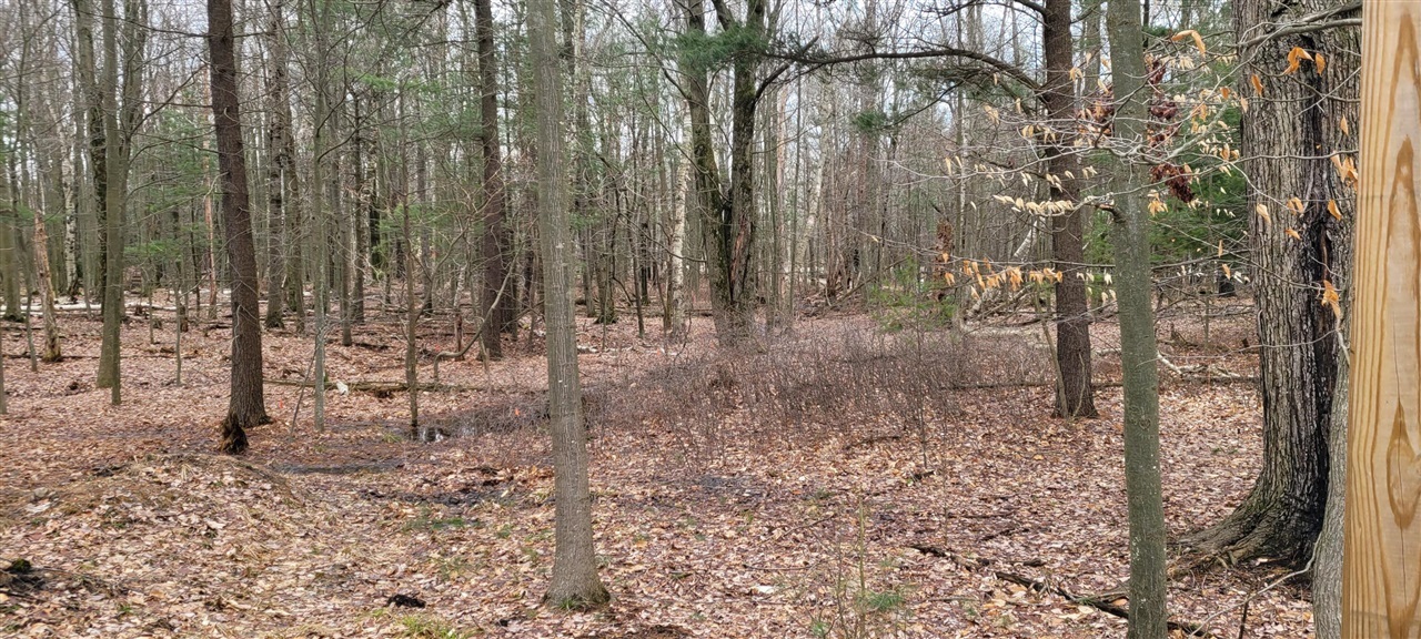 Property Photo: 7567 W Toliver Road MI 49436