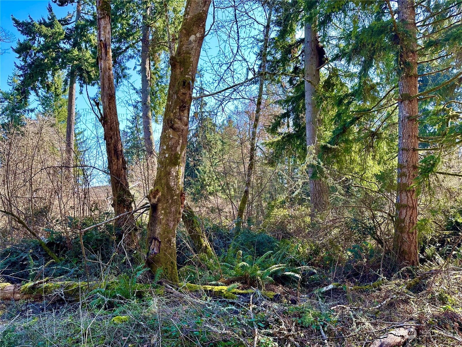 Property Photo:  10412 107th Street Ct  WA 98303 