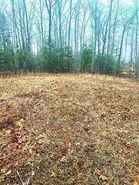 Property Photo:  0 Old Gordon Road  TN 37337