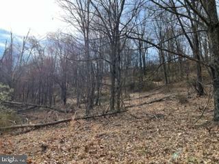 Property Photo:  49.76 Acres Ewing Drive  WV 26801 