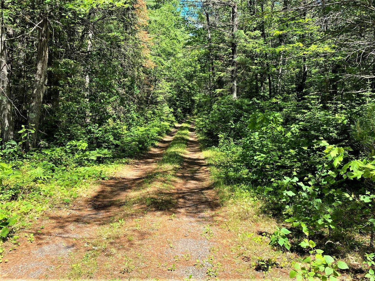 Property Photo:  6118 Dog Lake Rd  WI 54545 