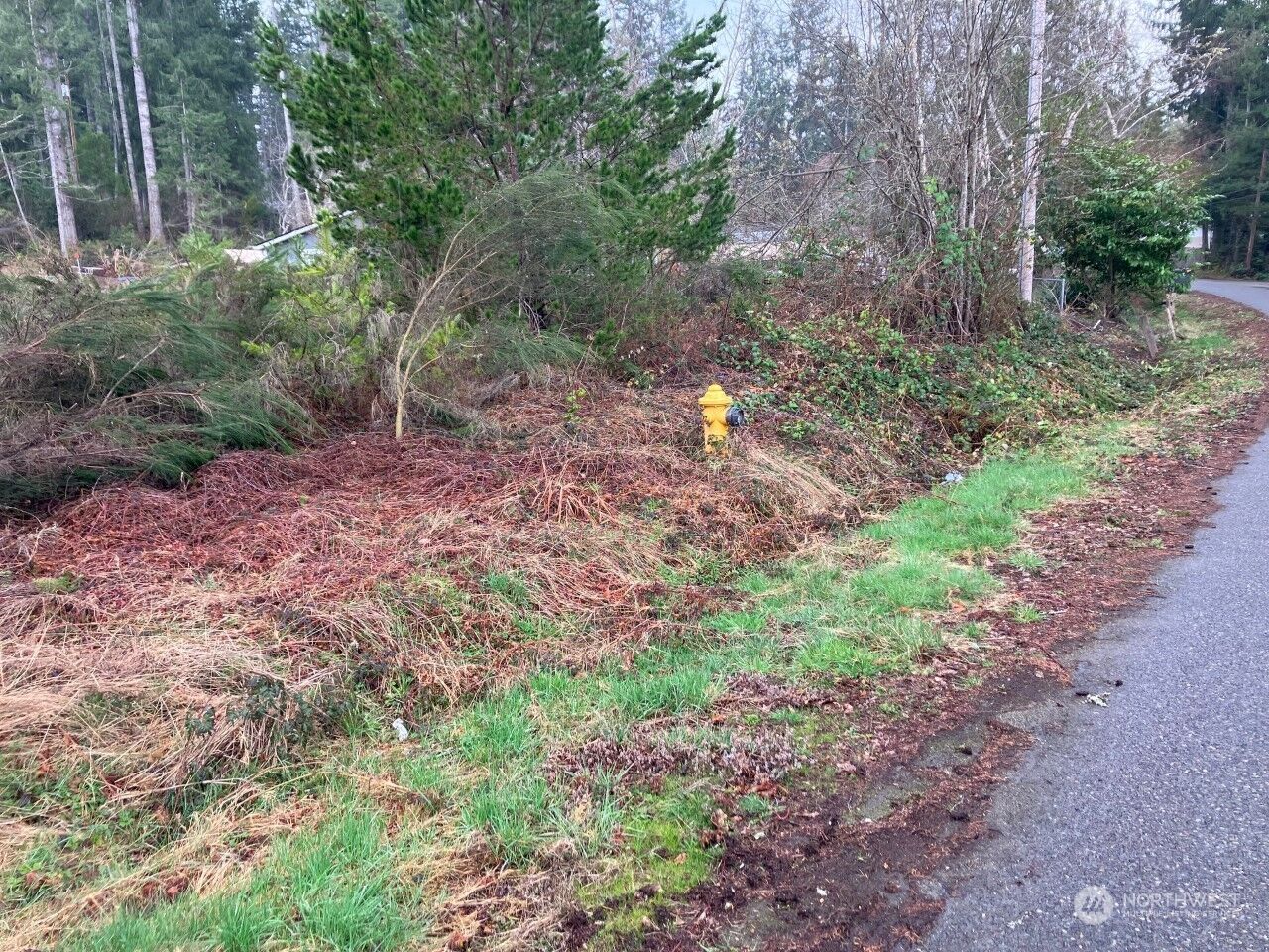 Property Photo: 1170 E Trails End Drive WA 98528