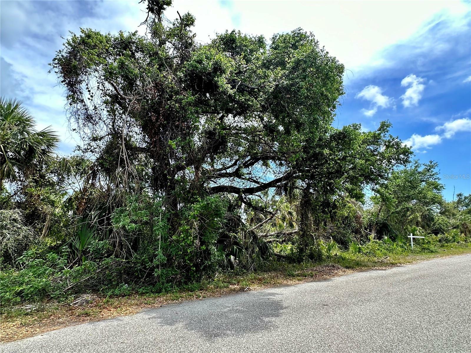 Property Photo: McAllister Lane FL 34288