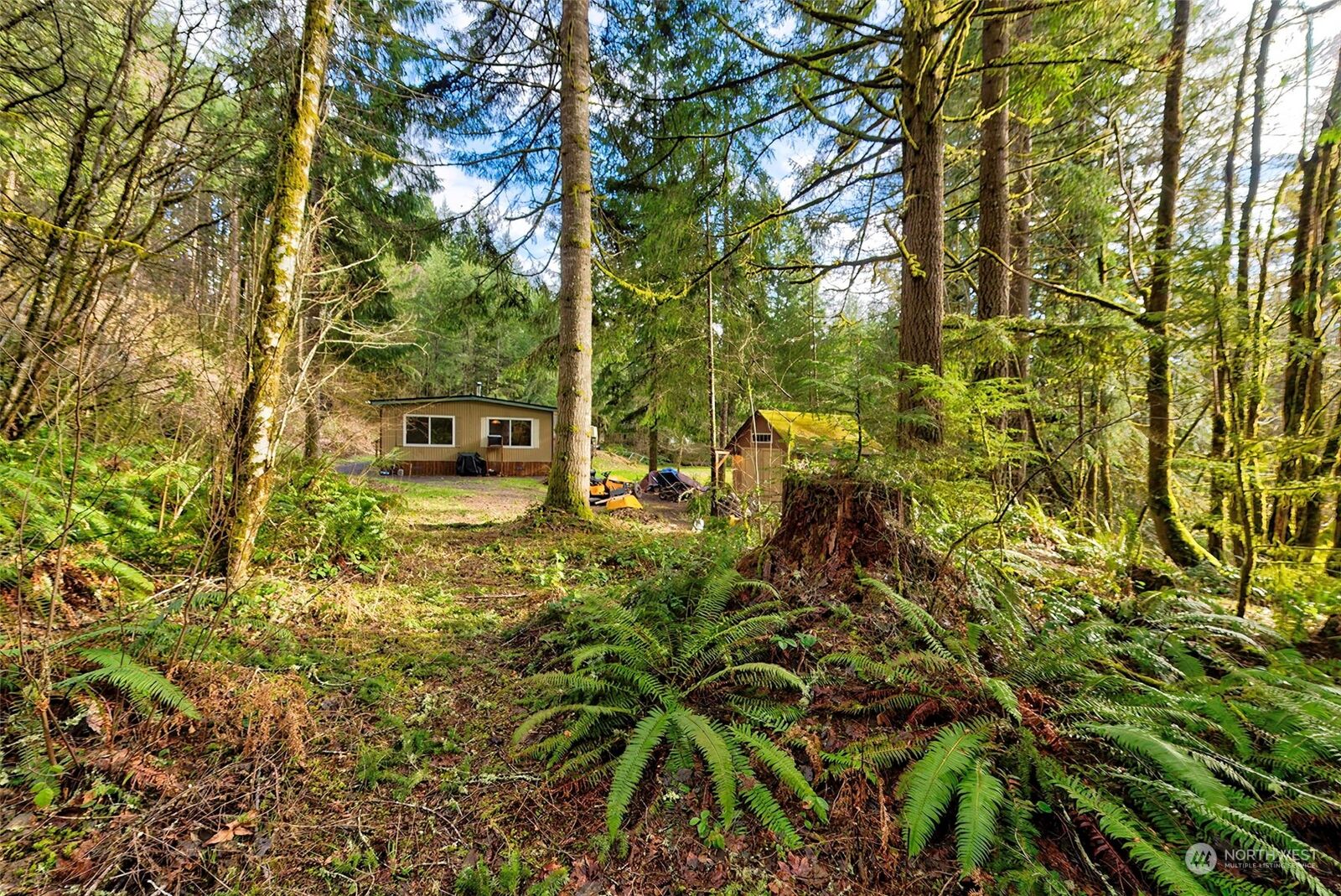 3 bed Winlock home for sale 268 Hawkins Road S, Winlock, WA 98596