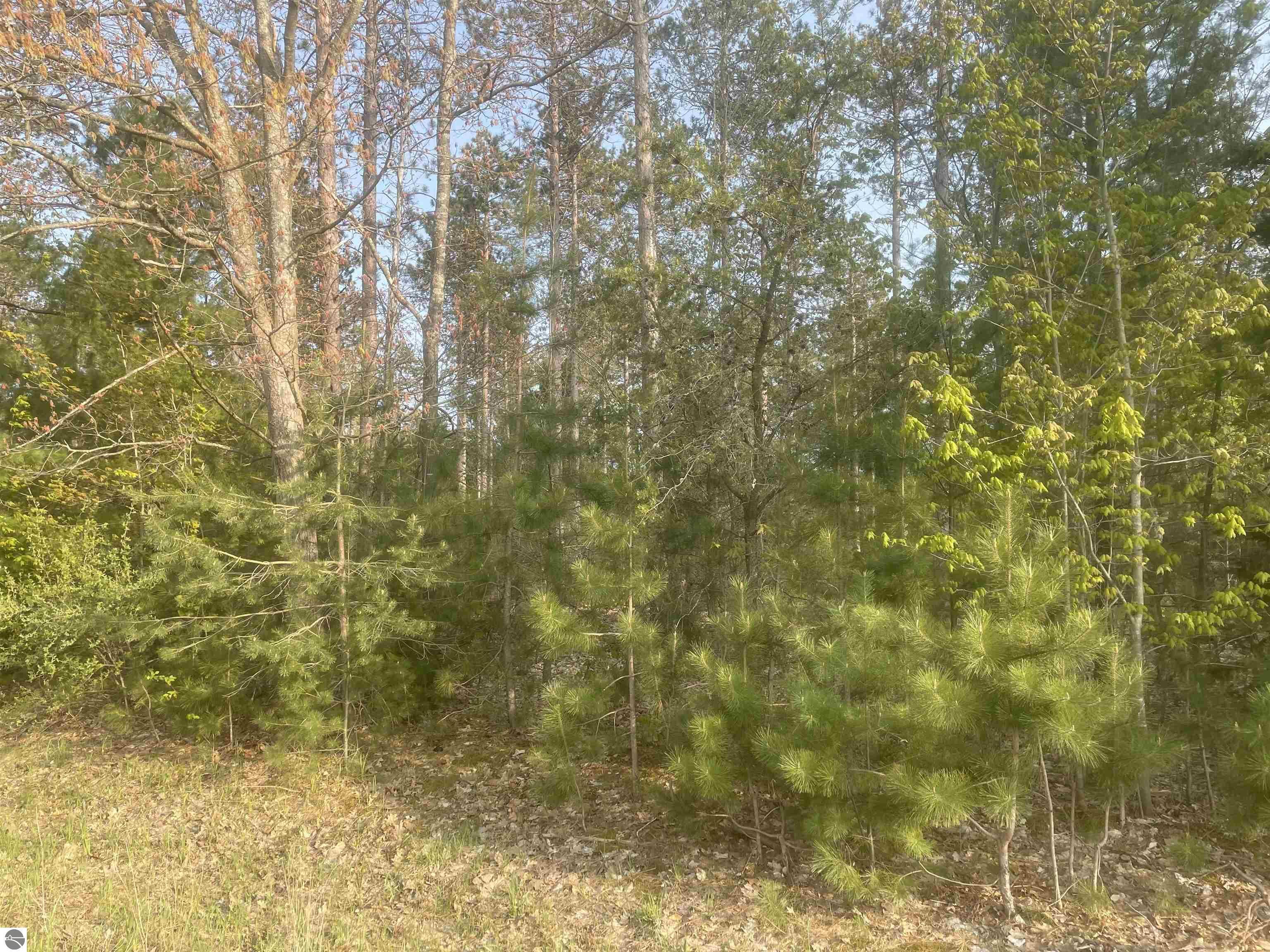Lot I Riley Road  Interlochen MI 49643 photo