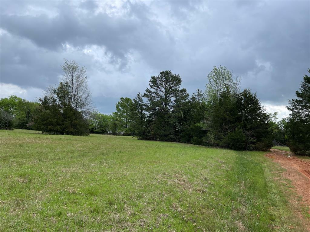 Property Photo:  Lot 19 Hunters Hollow  TX 75457 