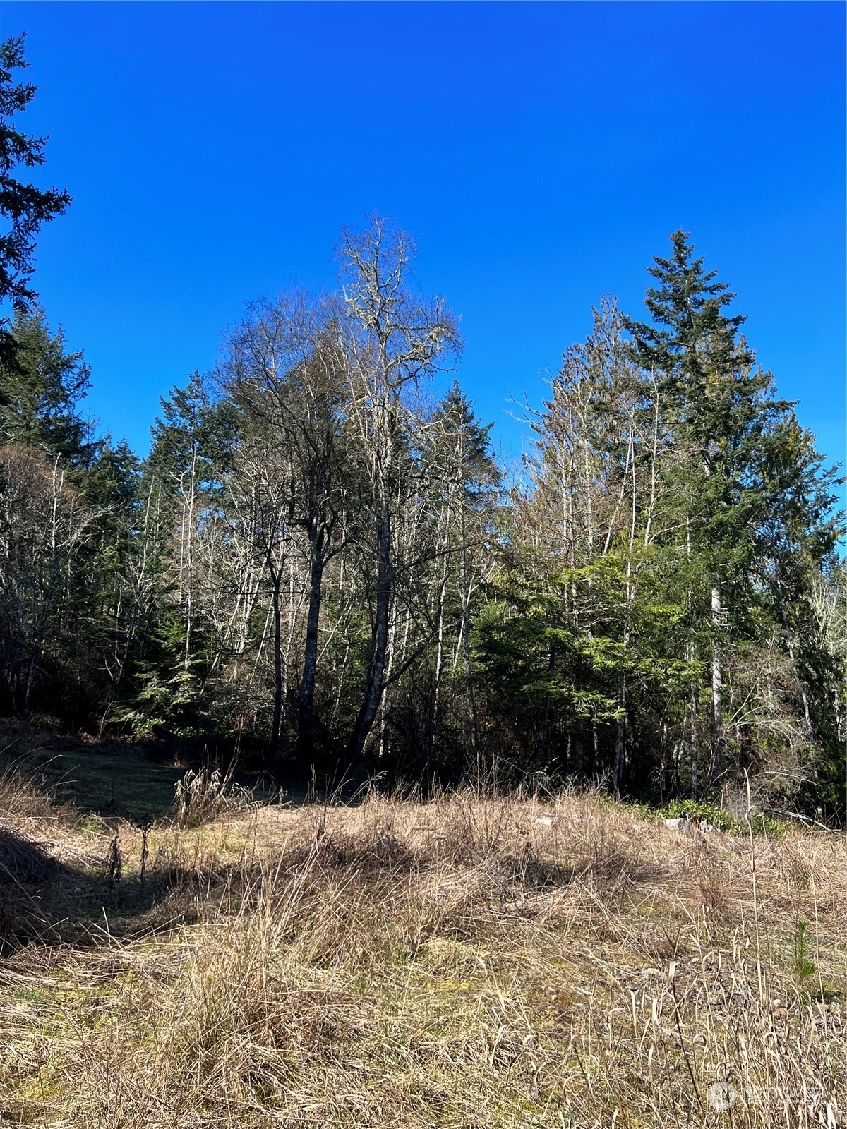 Property Photo: 99 Highlands Drive WA 98250